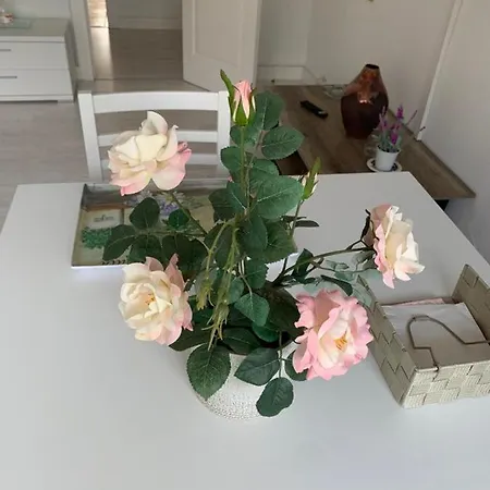 Edificio El Mirador -situado En Playa Del Puntal Primera Linea Playa فِيافيثيوسّا