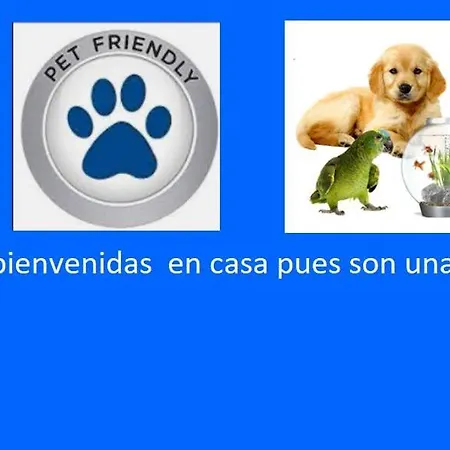 Edificio El Mirador -situado En Playa Del Puntal Primera Linea Playa *