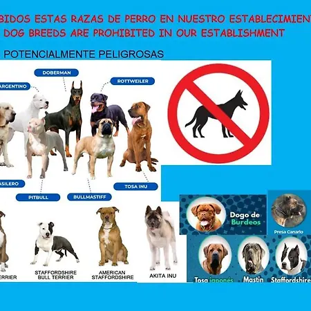 Edificio El Mirador -situado En Playa Del Puntal Primera Linea Playa * Villaviciosa (Asturias)